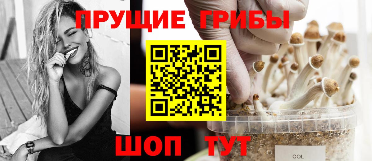 Псилоцибиновые грибы Psilocybe Грозный