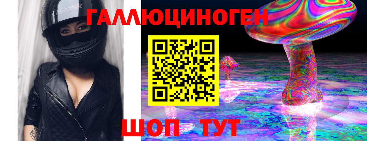 Грозный  Галлюциногенные грибы GOLDEN TEACHER  Псилоцибиновые грибы прущие грибы  Вход с VPN 